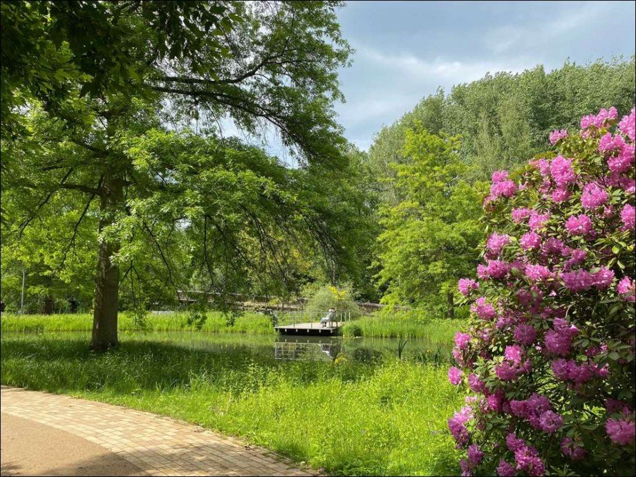 Kurpark Bad Bevensen Haus Bad Bevensen