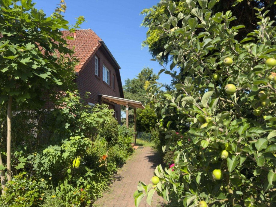 Blick zum Hauseingang Erdgeschosswohnung Wolfsburg