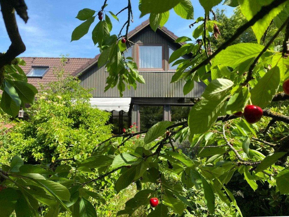 Blick zum Haus Einfamilienhaus Wolfsburg
