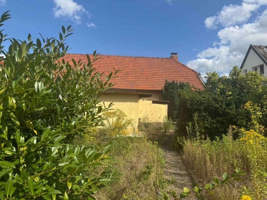 Gartenblick Einfamilienhaus Wolfsburg