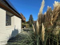 Bild (16e026a57f260e2db82459dad31b3aa5): Liebevoll saniertes Wohnhaus mit ganz besonderen Details freut sich auf Sie