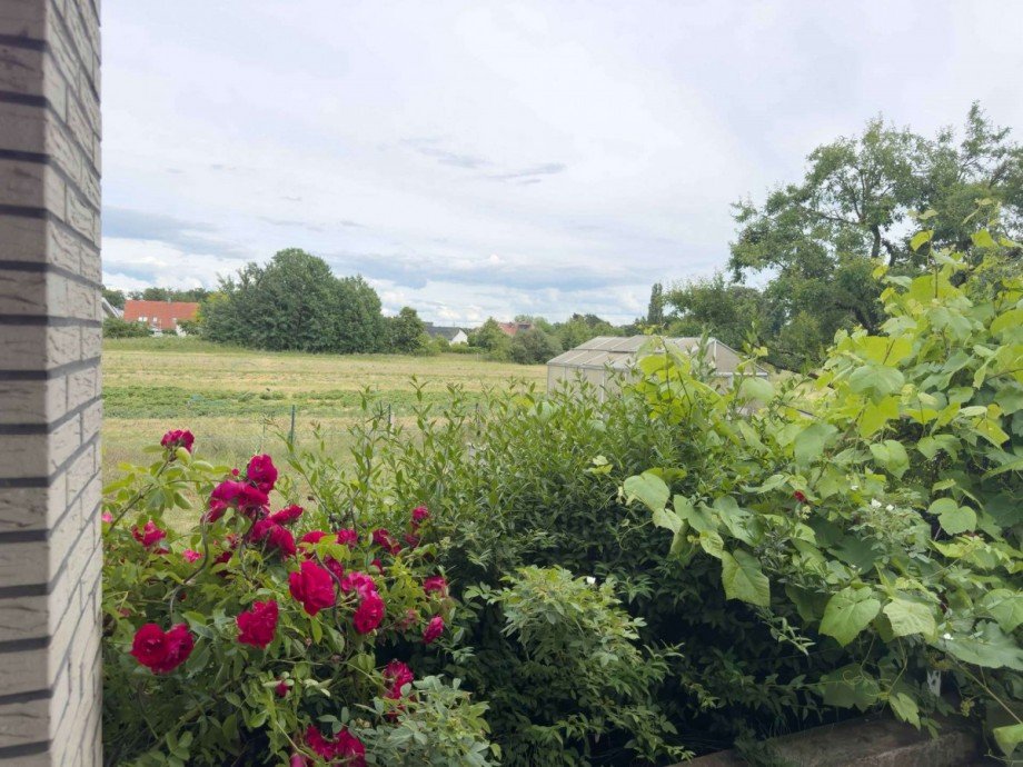 Blick von der Terrasse hinter den Garten Einfamilienhaus Wolfsburg-Ehmen