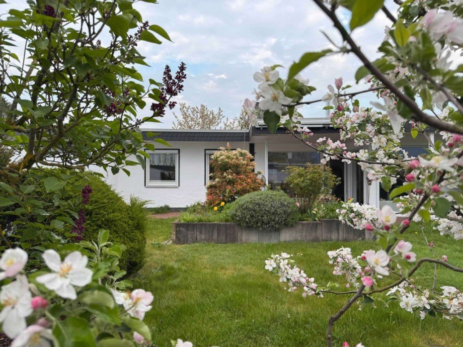 Blick zum Haus Reihenhaus Wolfsburg