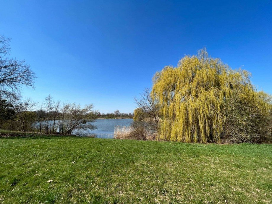 Blick-zum-Teich Einfamilienhaus Wolfsburg