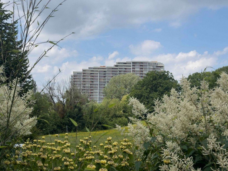 Blick zum Haus Etagenwohnung Wolfsburg