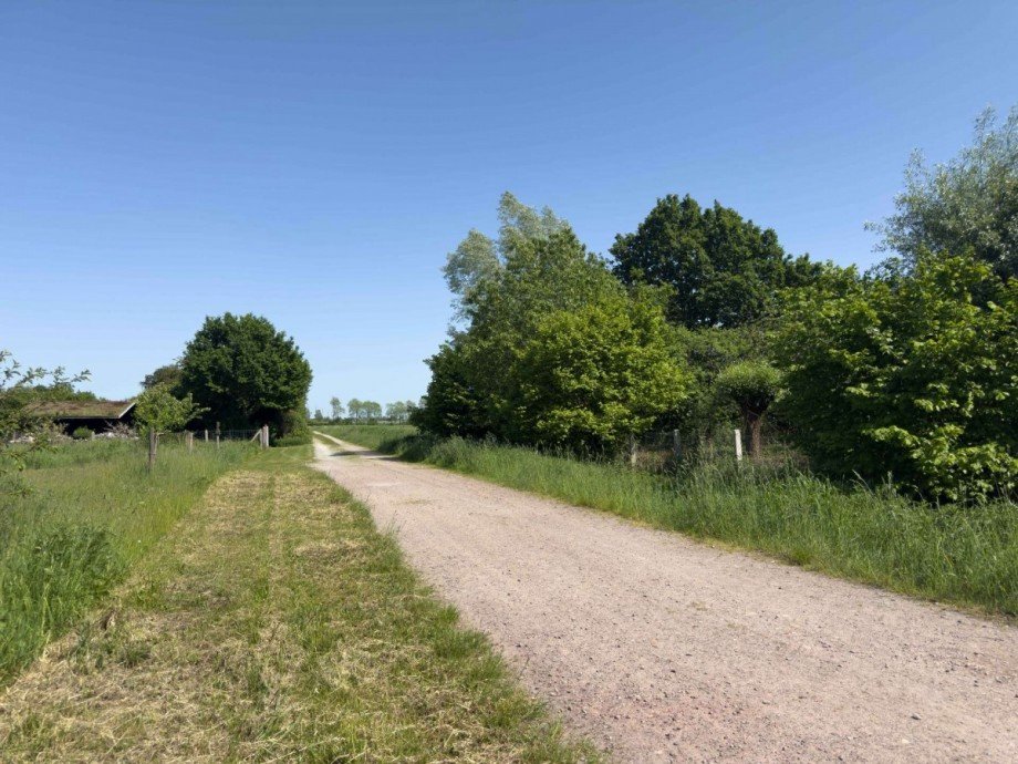 Wohnumfeld Einfamilienhaus Bergfeld