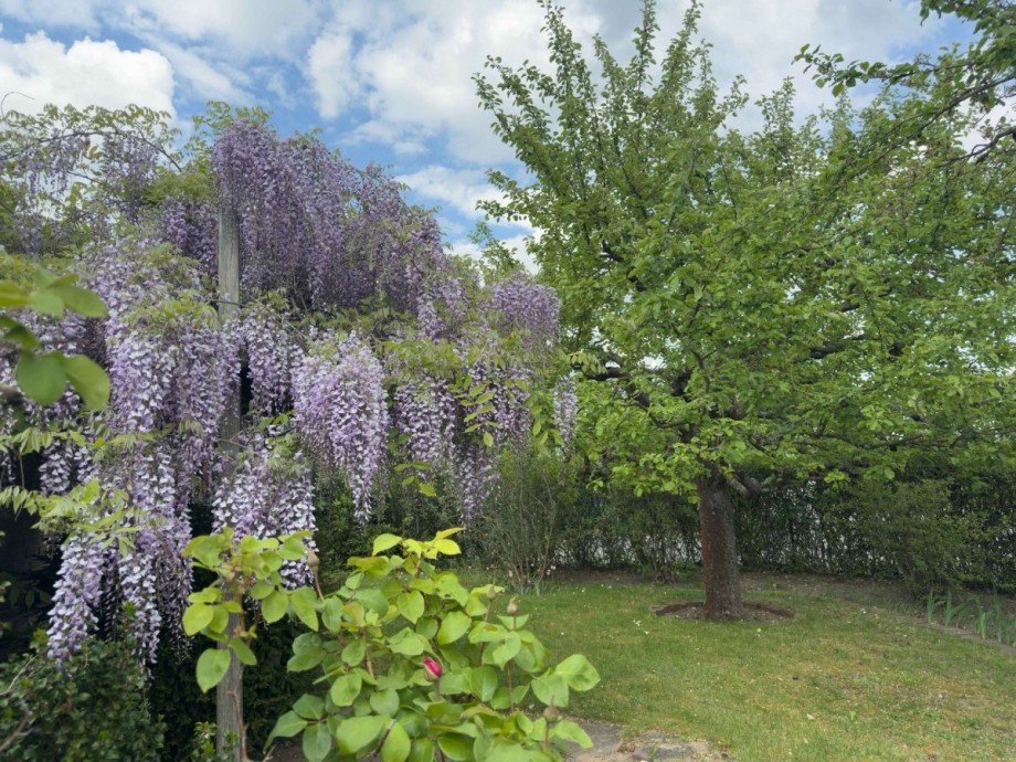 Gartenidylle Einfamilienhaus Wolfsburg