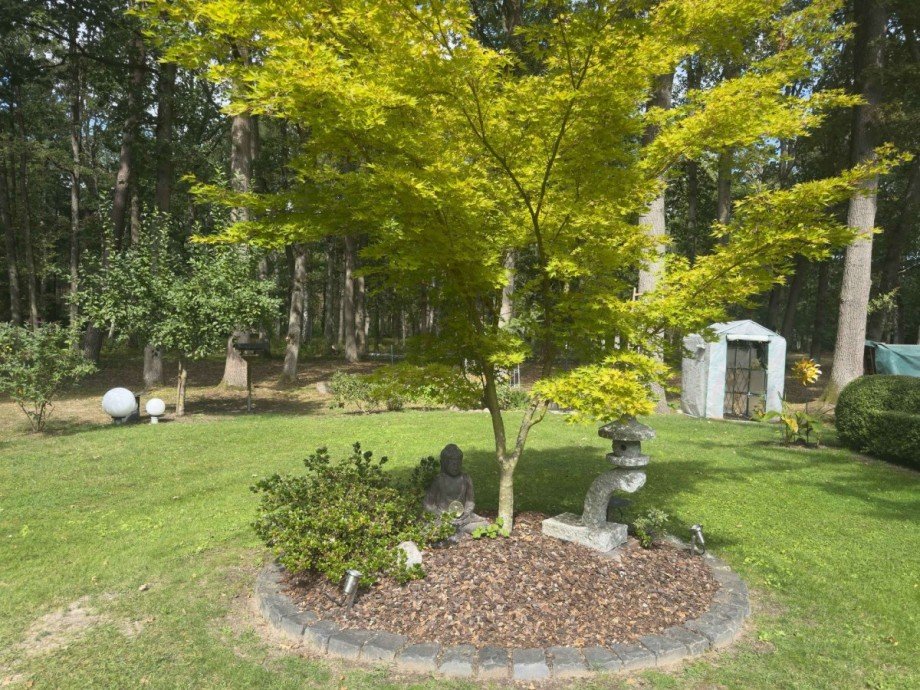 Gartenromantik Haus Barwedel