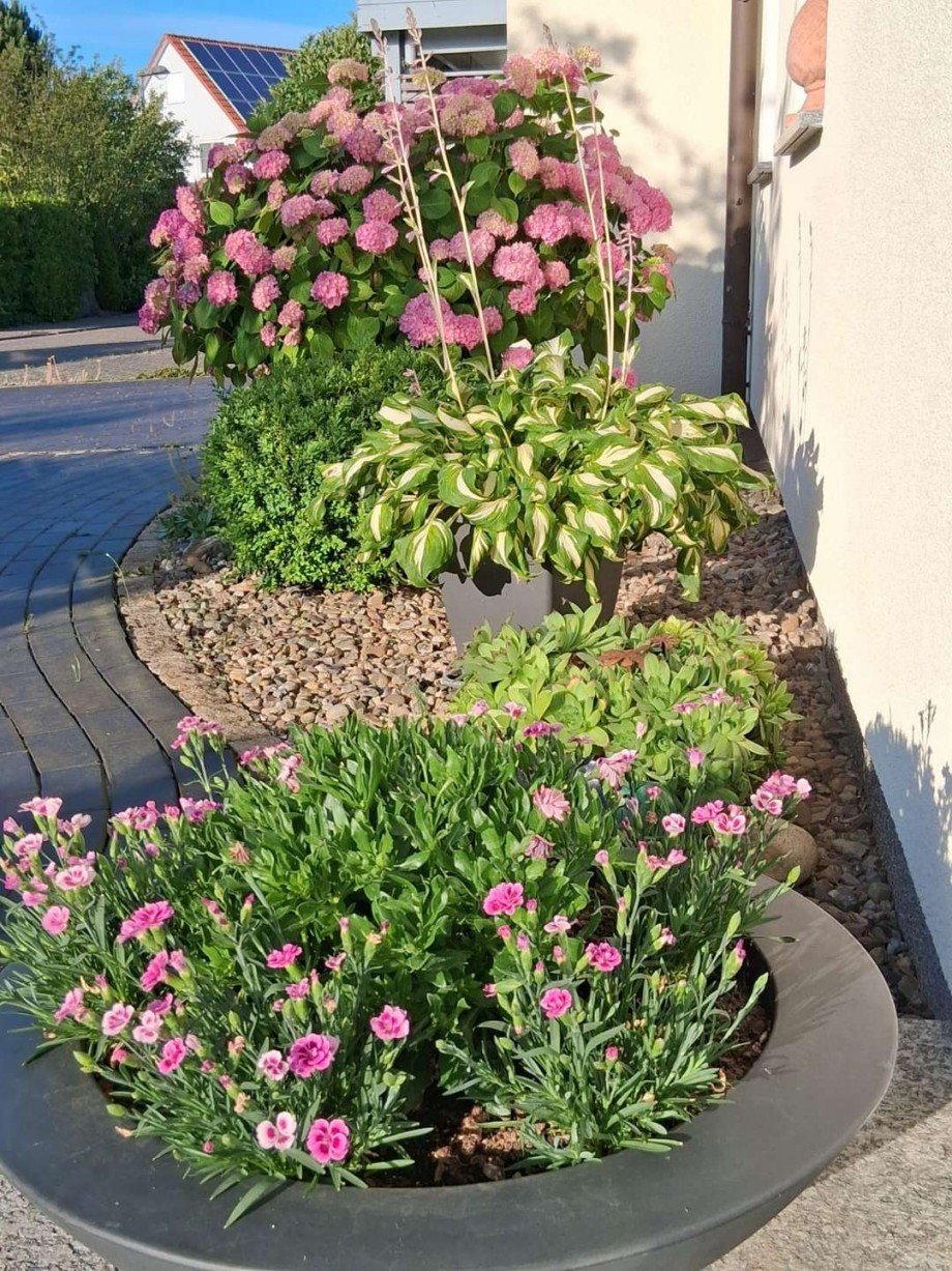 Blumenpracht Einfamilienhaus Wolfsburg