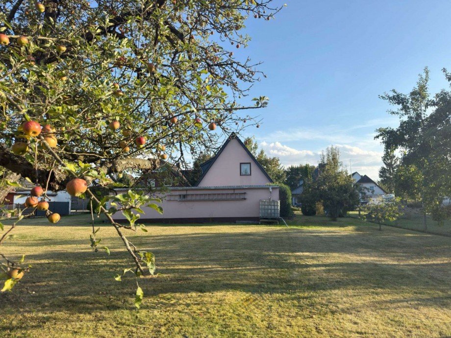 Grundstuinter dem Wohnhaus Einfamilienhaus Wolfsburg