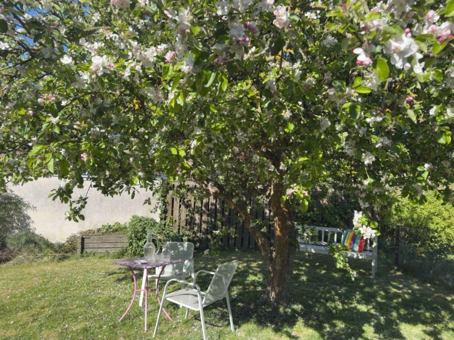Tr�umen unter dem Apfelbaum Einfamilienhaus Wolfsburg
