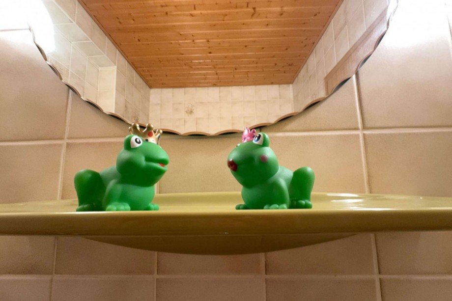 Badespa� im gr�nen Bad Doppelhaush�lfte Wolfsburg