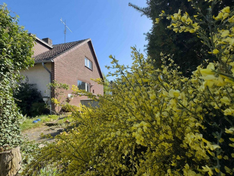 Gartenblick zum Haus Einfamilienhaus Wolfsburg