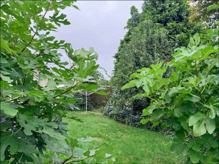 Gartenromantik Einfamilienhaus Vechelde
