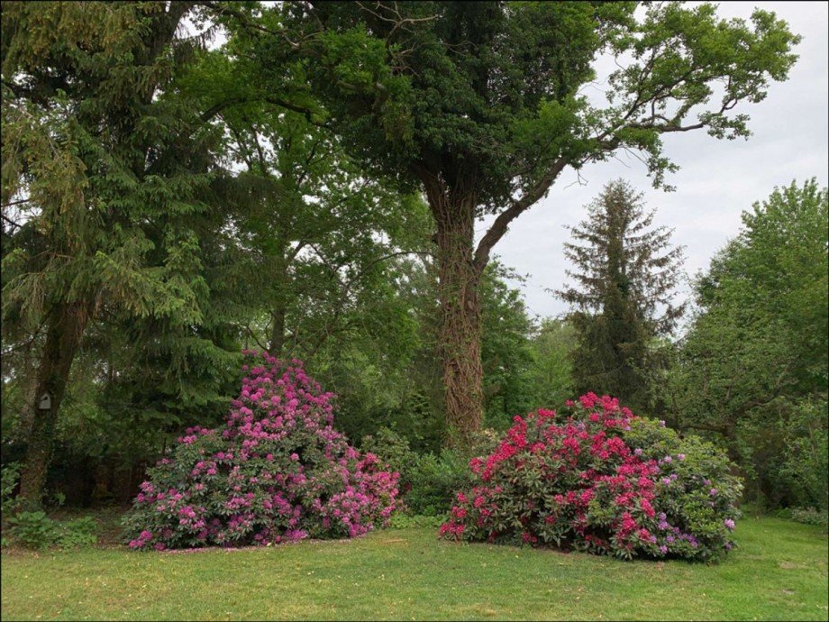 Gartenidylle Einfamilienhaus Gifhorn / Winkel
