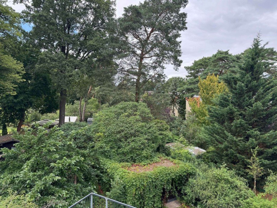 Blick aus dem Dachfenster Zweifamilienhaus Eichwalde