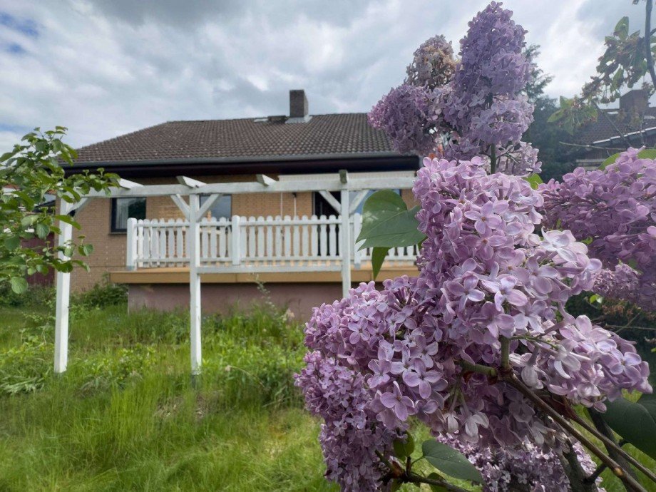 Blick vom Garten zur Terrasse Einfamilienhaus Wolfsburg