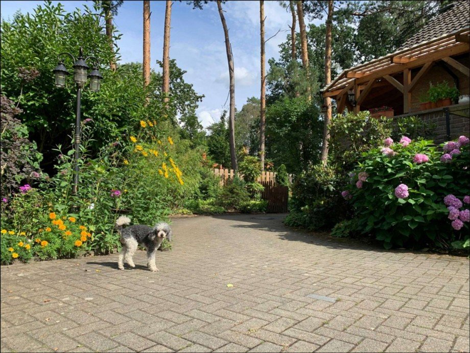 Blumenpracht Einfamilienhaus Gifhorn / Winkel
