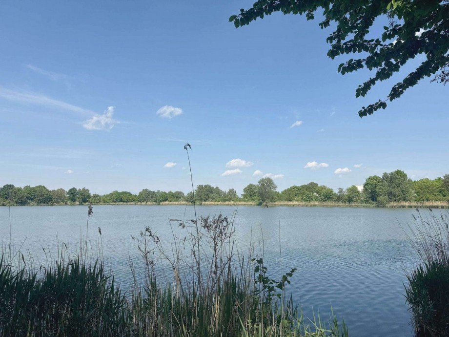 Teich Etagenwohnung Wolfsburg